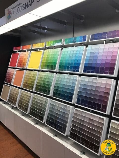 A paint store's chip wall — racks of color swatches running floor to ceiling